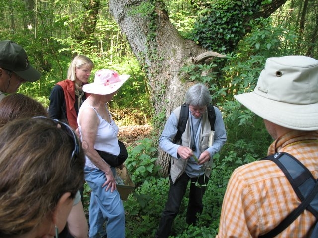2007 04 Plantes alimentaires 08